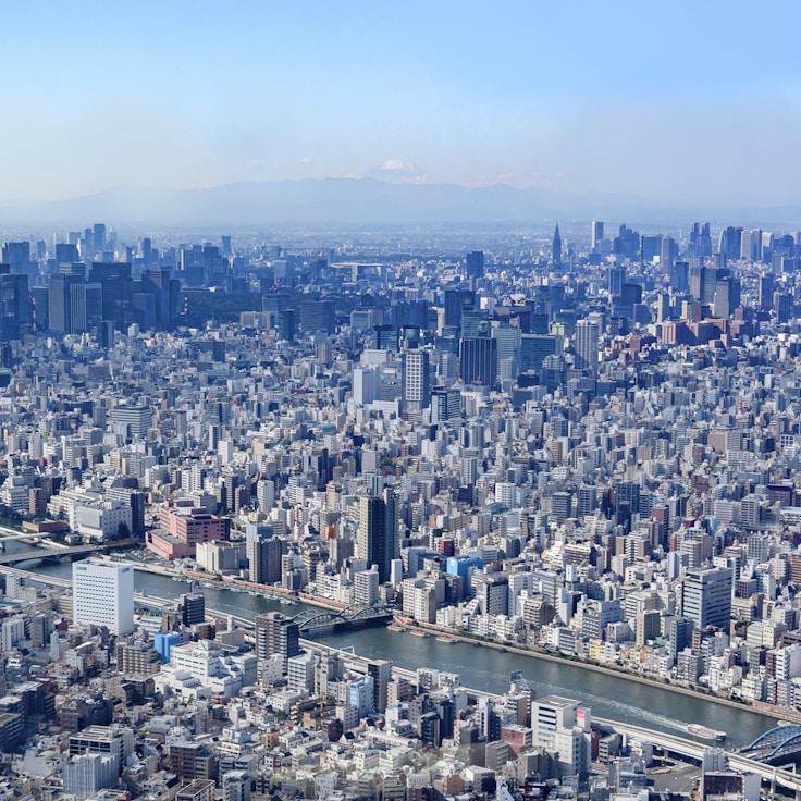 Sophie de Jong - Expat family life guide in Netherlands